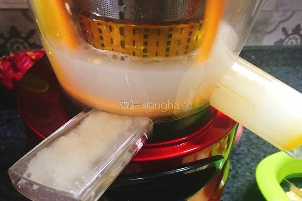 苹果梨子汁的做法图解6