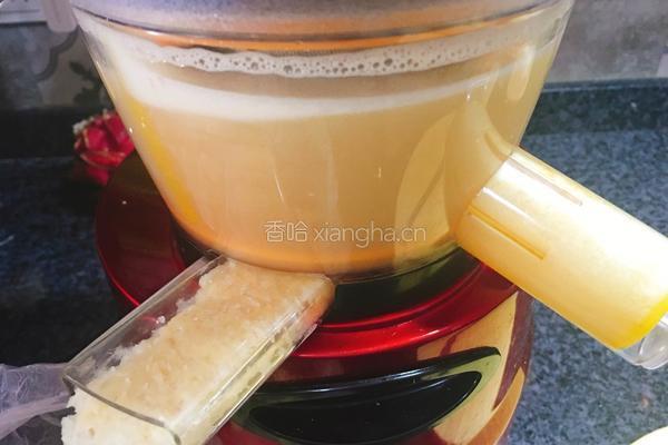 苹果梨子汁的做法图解8