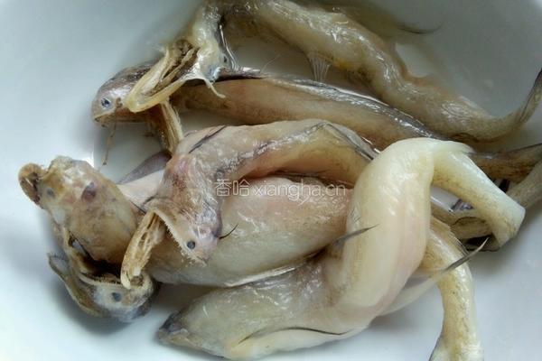 香煎龙头鱼的做法图解1