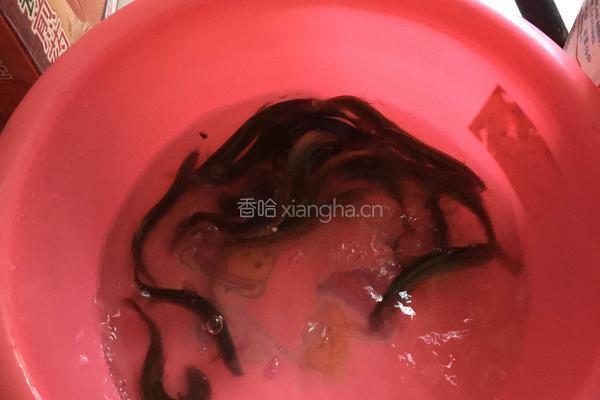 泥鳅豆腐汤的做法图解1
