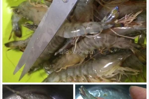 蒜蓉粉丝娃娃菜蒸开边虾的做法图解3