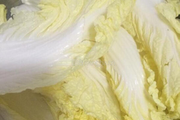 蒜蓉粉丝娃娃菜蒸开边虾的做法图解5