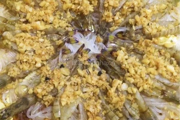 蒜蓉粉丝娃娃菜蒸开边虾的做法图解12