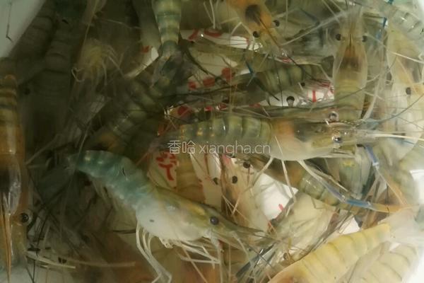 油爆沼虾的做法图解1