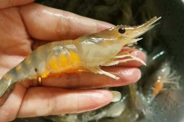 油爆沼虾的做法图解4
