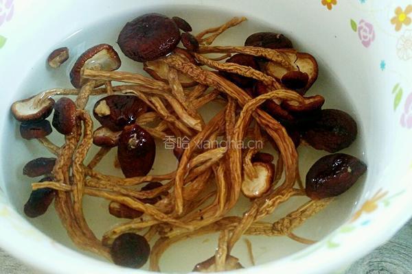 茶树菇炖鸡肉的做法图解2