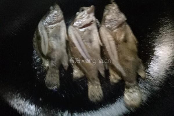 红烧桂鱼的做法图解2