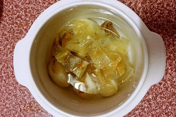 马蹄党参炖花胶的做法图解4