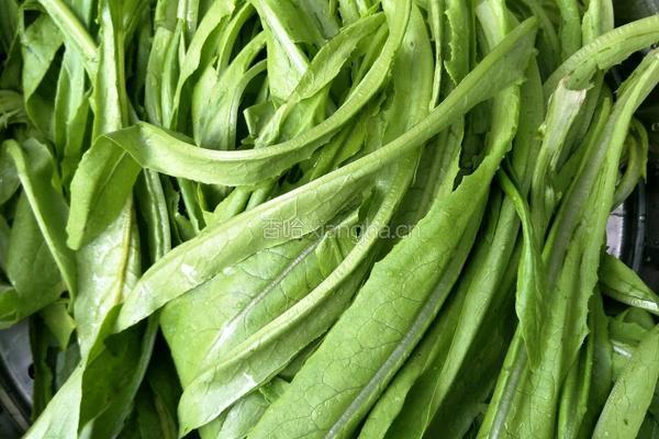 豆豉鲮鱼烧油麦的做法图解1