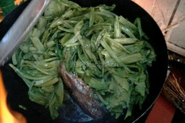 豆豉鲮鱼烧油麦的做法图解7