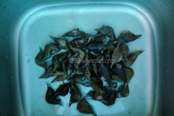 水煮菱角的做法图解4