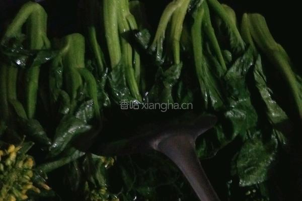 油淋青菜的做法图解1