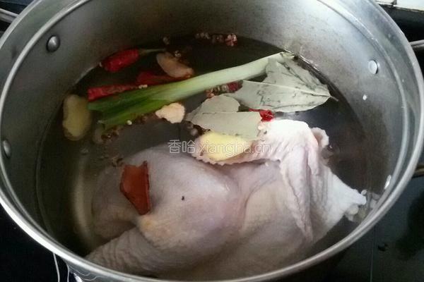 水煮鸡的做法图解2