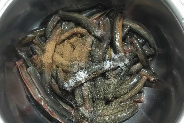 炸泥鳅鱼的做法图解3