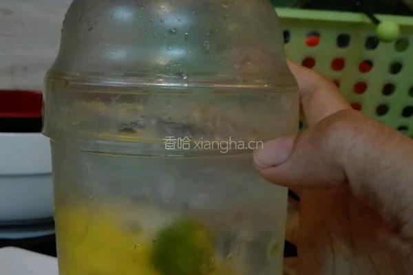 酸爽柠檬水的做法图解4