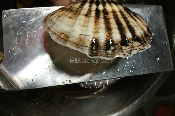 芝士烤扇贝的做法图解3
