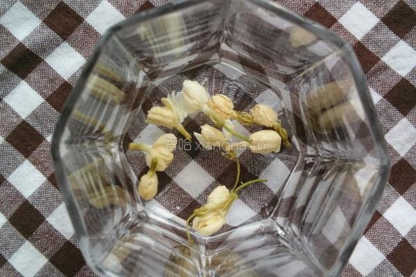 茉莉花茶的做法图解1