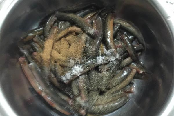 干煸泥鳅的做法图解2
