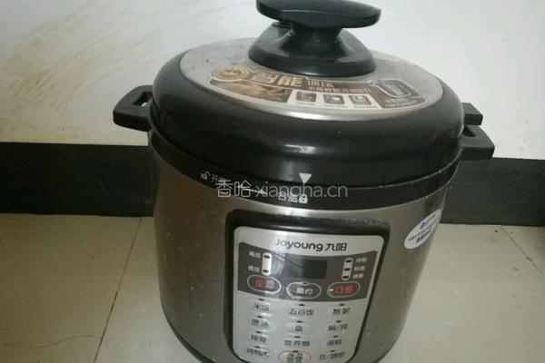 排骨木瓜汤的做法图解6