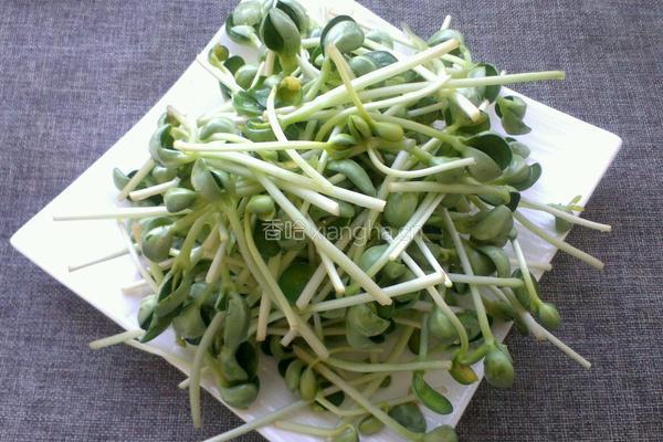 豆苗炒肉的做法图解1