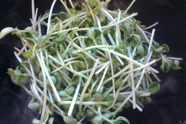 豆苗炒肉的做法图解5