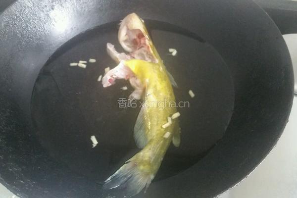 昂刺鱼汤的做法图解5