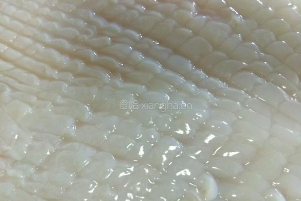 豆腐烧鱿鱼的做法图解2