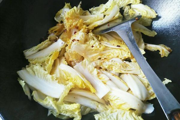 白菜粉条的做法图解6