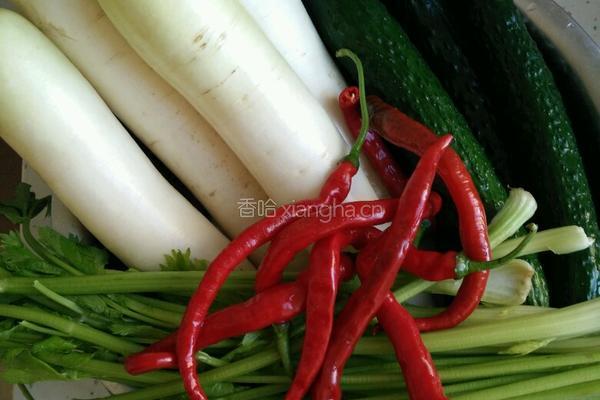 酸甜清脆小咸菜的做法图解1