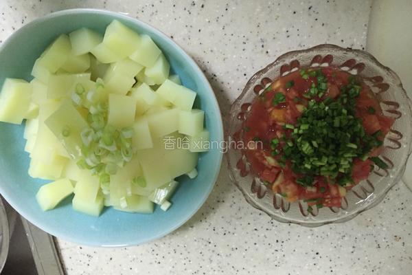 西红柿烧凉粉的做法图解2