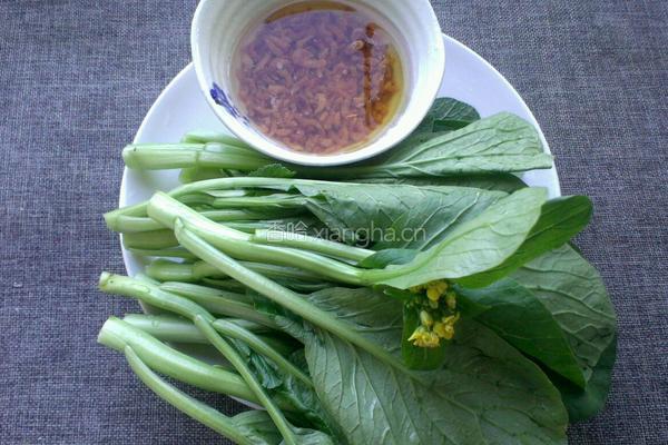 海米油菜苔的做法图解1