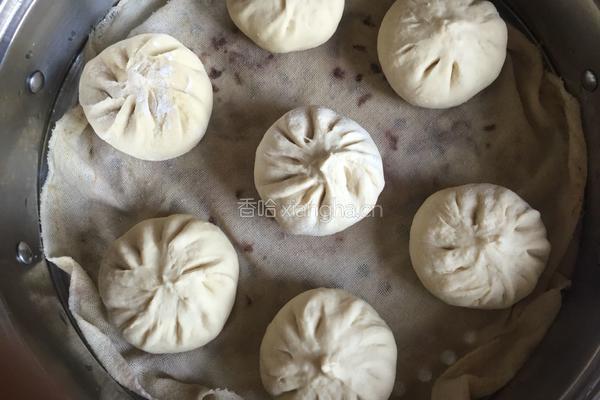 干菜肉包子的做法图解16