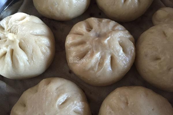 干菜肉包子的做法图解18