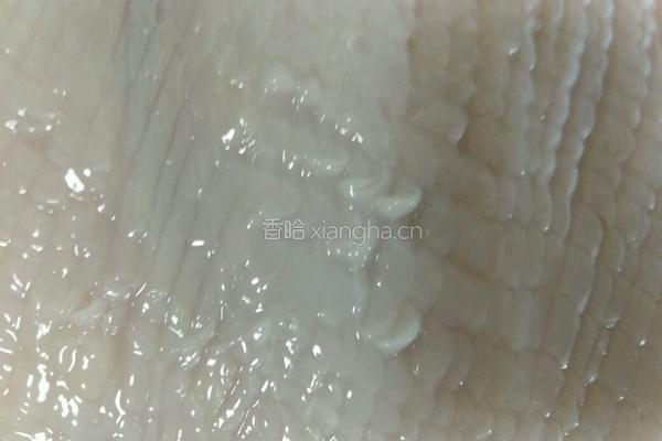 韩式鱿鱼盖浇饭的做法图解1