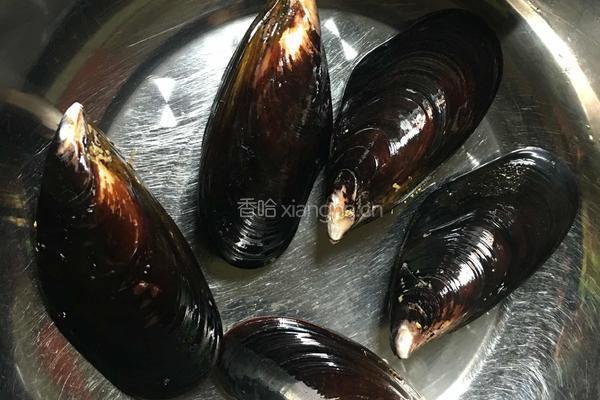 白灼小海虹的做法图解1