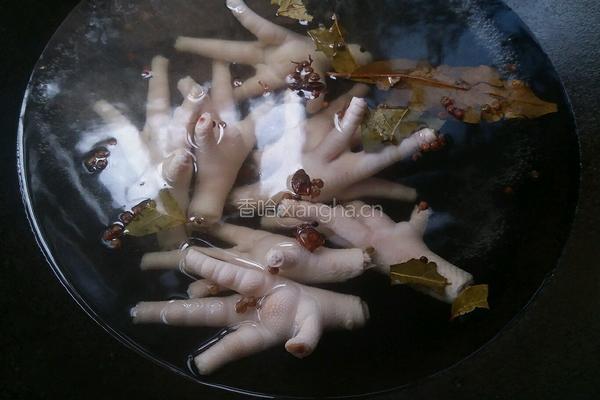 凉拌凤爪的做法图解4