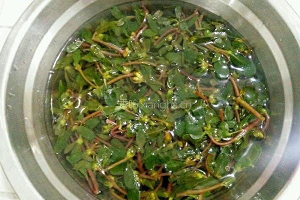 凉拌蚂蚱菜的做法图解3