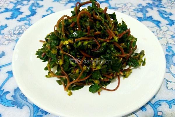 凉拌蚂蚱菜的做法图解4