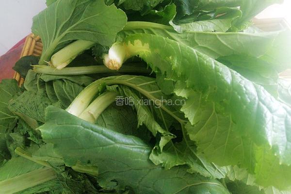 凉拌小白菜的做法图解1