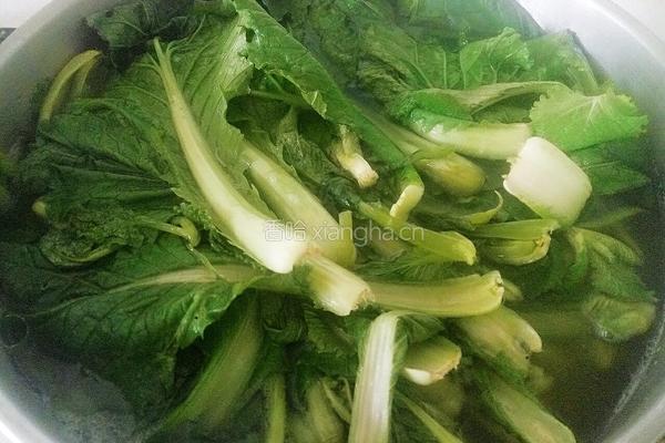 凉拌小白菜的做法图解3