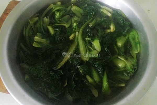 凉拌小白菜的做法图解4