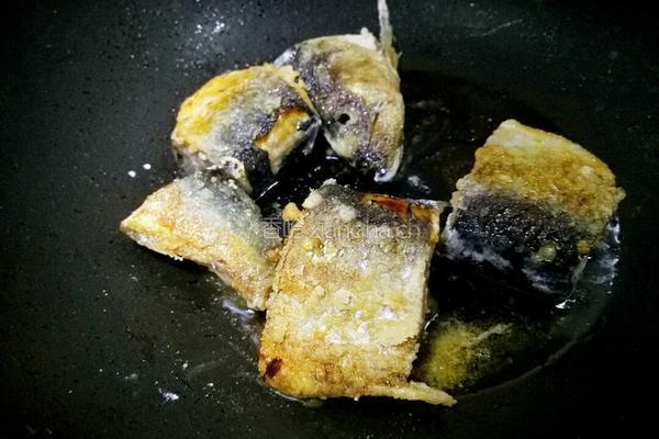 青鱼白菜豆腐锅的做法图解8