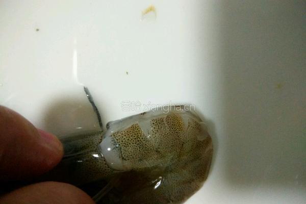 椒盐虾菇的做法图解3