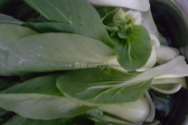 油菜香菇素包子的做法图解5