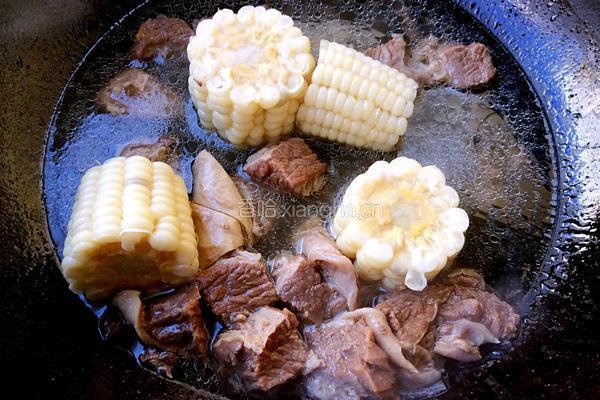 牛肉炖玉米的做法图解6