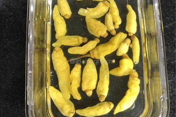 野山椒泡凤爪的做法图解6