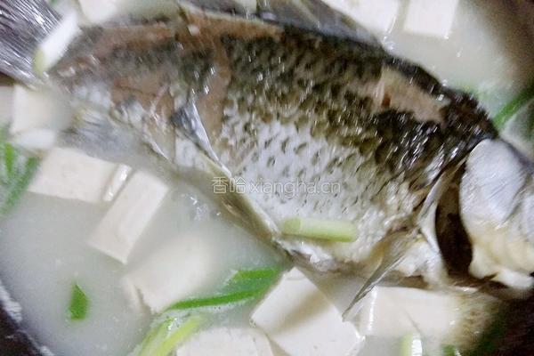 奶白鱼汤的做法图解7