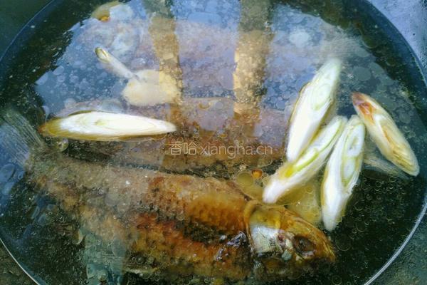 鲫鱼豆腐汤的做法图解5