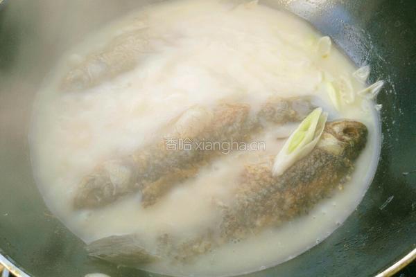 鲫鱼豆腐汤的做法图解7