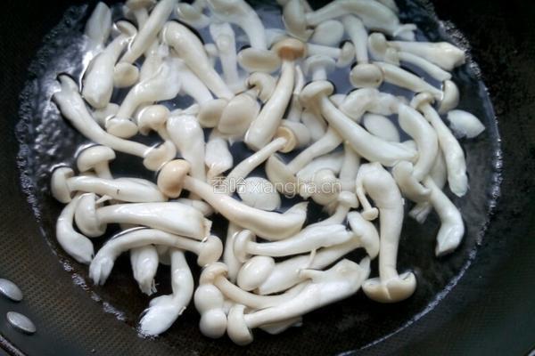 凉拌白玉菇的做法图解3